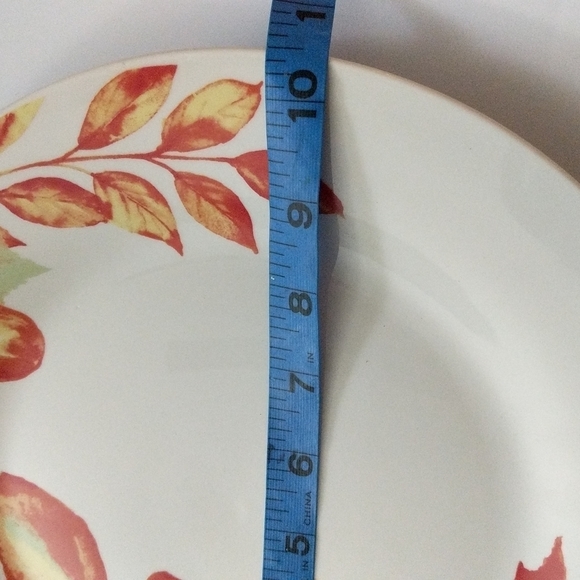 Porcelain 4 Fall Harvest Rustic Leaves Dinner Plates - Picture 4 of 6